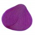 Crazy Colour Semi Permanent Hair Dye 100ml HOT PURPLE - Shopdance.co.uk